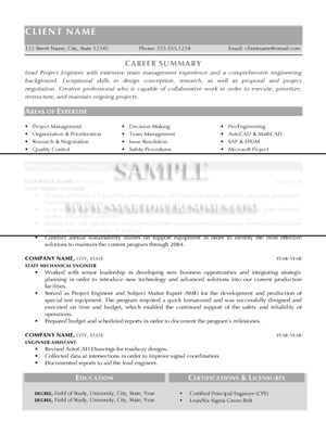 Graphic Resume Format